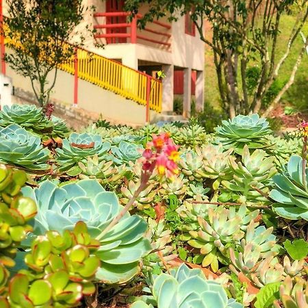 Sitio Dos Palmitos - Casa Pupunha Hotel Pedra Azul  Kültér fotó