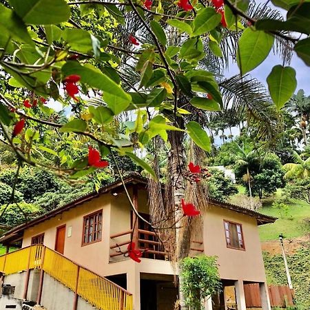 Sitio Dos Palmitos - Casa Pupunha Hotel Pedra Azul  Kültér fotó