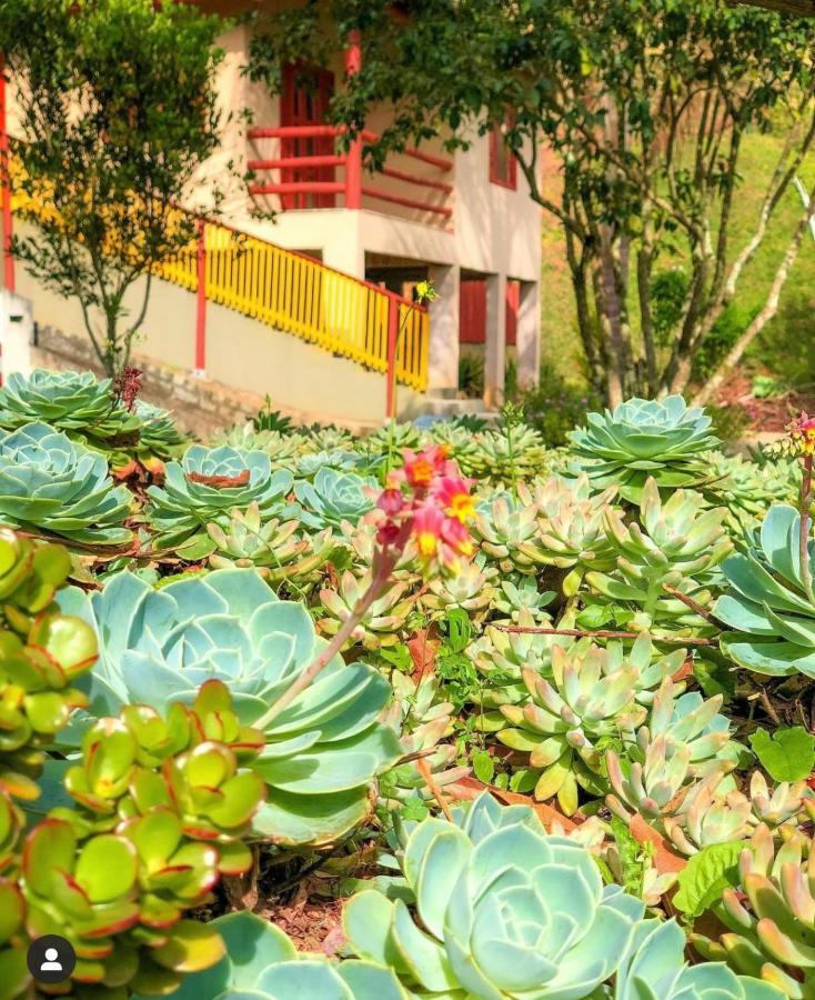 Sitio Dos Palmitos - Casa Pupunha Hotel Pedra Azul  Kültér fotó